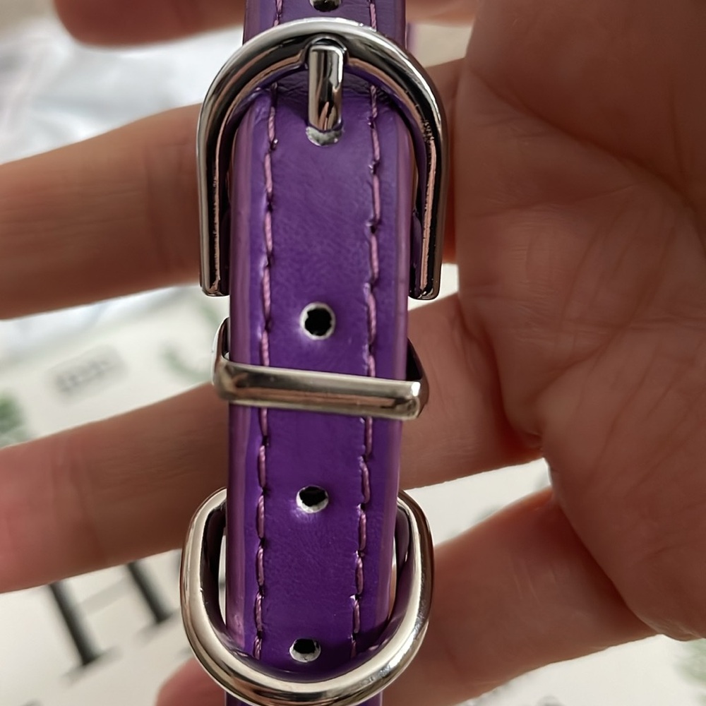 Purple Collar - Picture 2 of 5